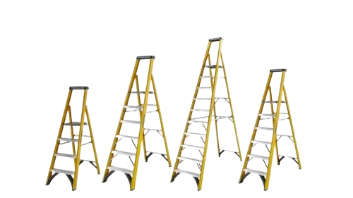 Scaffolding Project 5